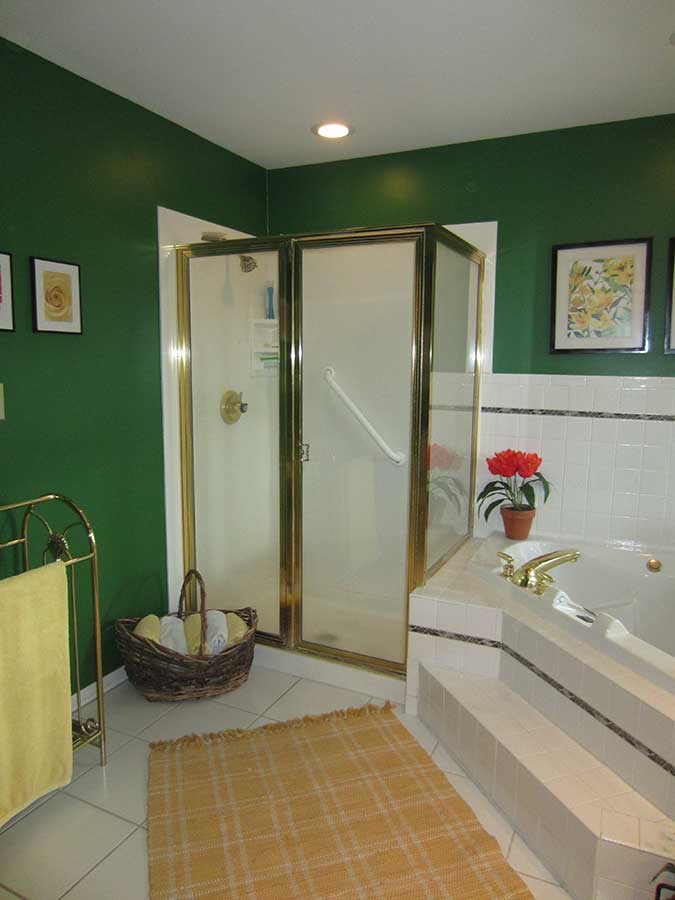 Before Before - Aging In Place Shower Remodel